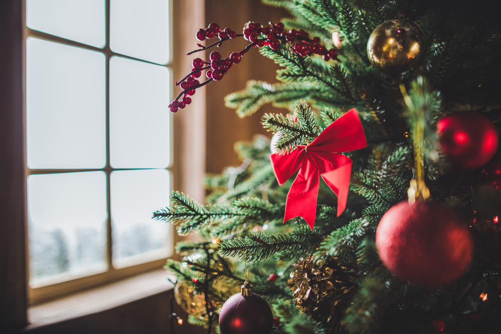 Udržitelné Vánoce – jaký mají význam?