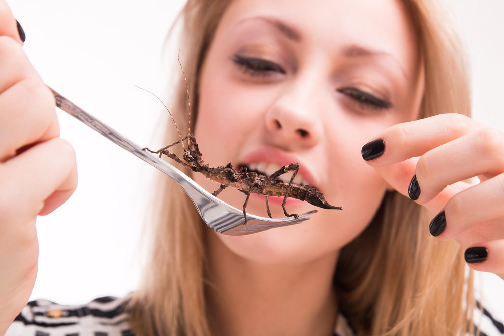 Hmyz z pohledu nutričních hodnot aneb Steak nebo brouk?