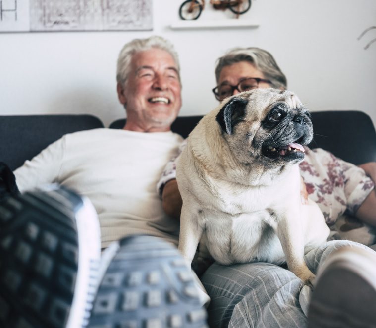 Canisterapie: Terapie se psem, která přináší radost a uzdravení